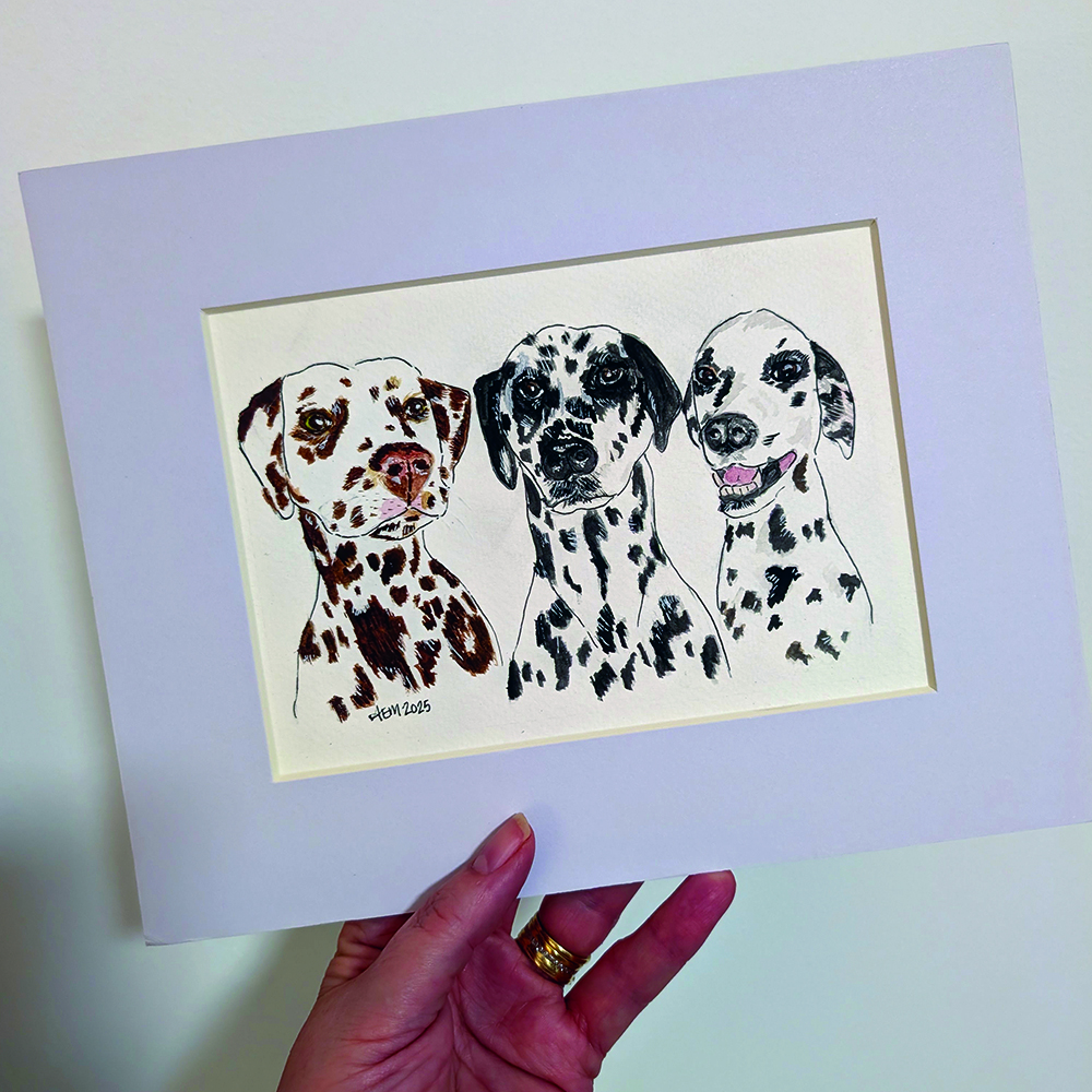 petv01 Pet Illustration - Image 3