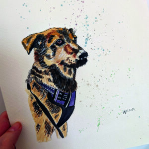 Home Pet Illustration