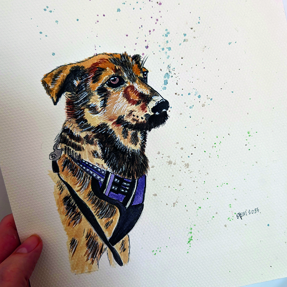 petv05 Pet Illustration